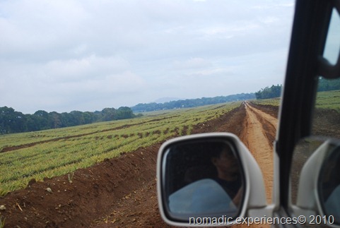 Bukidnon126 Bukidnon126