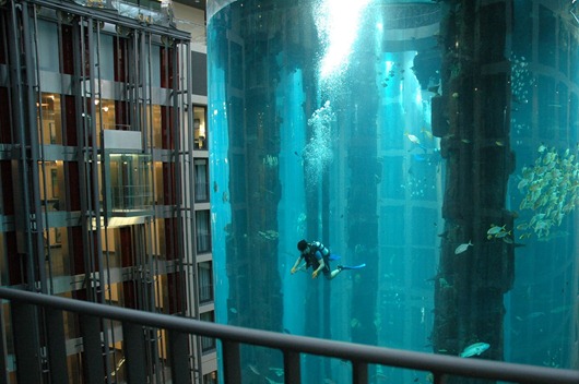 [Aquarium-scuba-diving%255B1%255D.jpg]