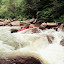 DSCN7785.JPG
