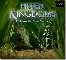Hidden Kingdoms 01 cover