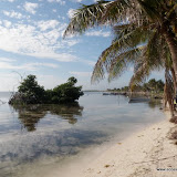Buceo en Mahahual 2011-2012