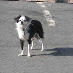 DSCN4747.jpg