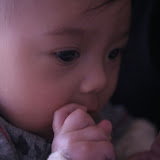 Nicola - Five months old - February 7, 2009