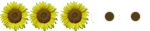 Girasol (3) Girasol (3)