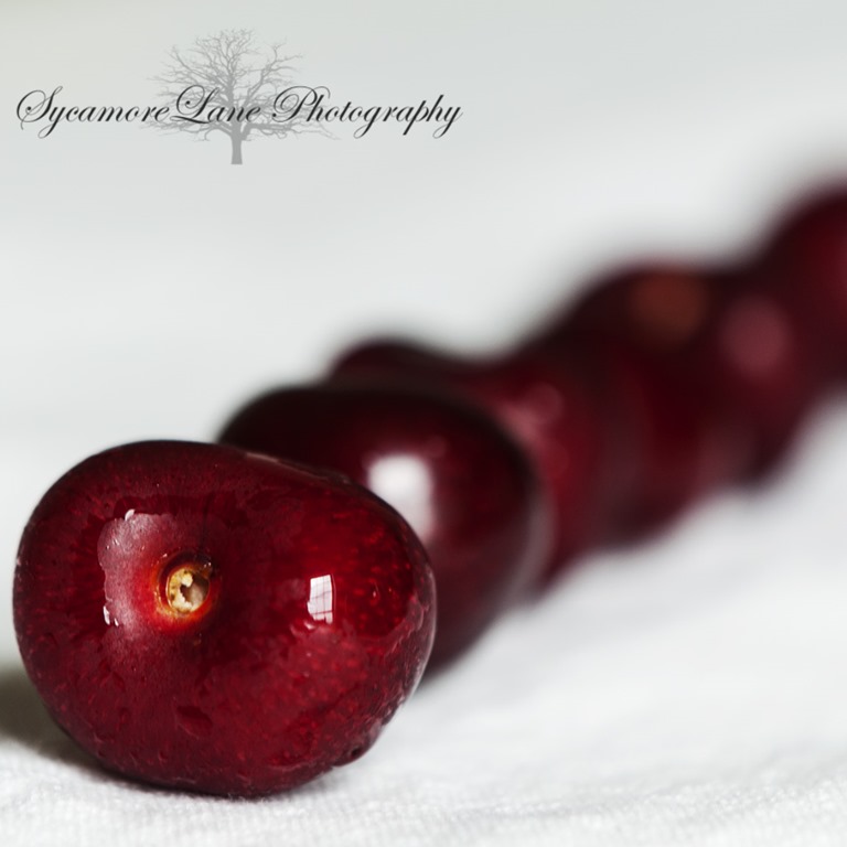 [cherries-sycamoreLane%2520Photography%255B5%255D.jpg]