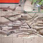 beachfinds_10 - 044.jpg