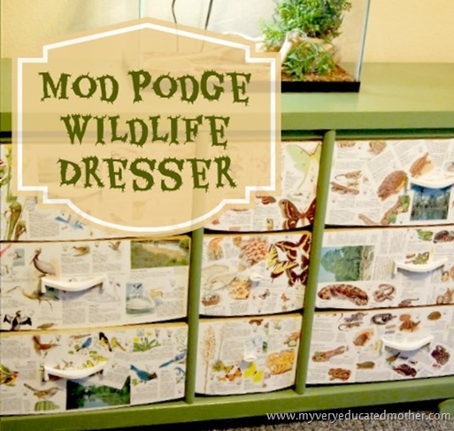 Mod Podge Wildlife Dresser #modpodge #dresser #crafting Mod Podge Wildlife Dresser #modpodge #dresser #crafting