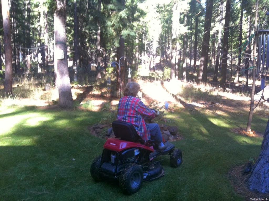 [Mo%2520is%2520mowing%2520in%2520November%2520%25281%2529%255B3%255D.jpg]