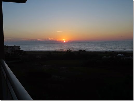 IMG_2515 IMG_2515