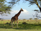 DSCN6260.JPG