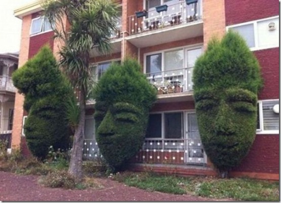 viral-picdump-pics-cc49cd