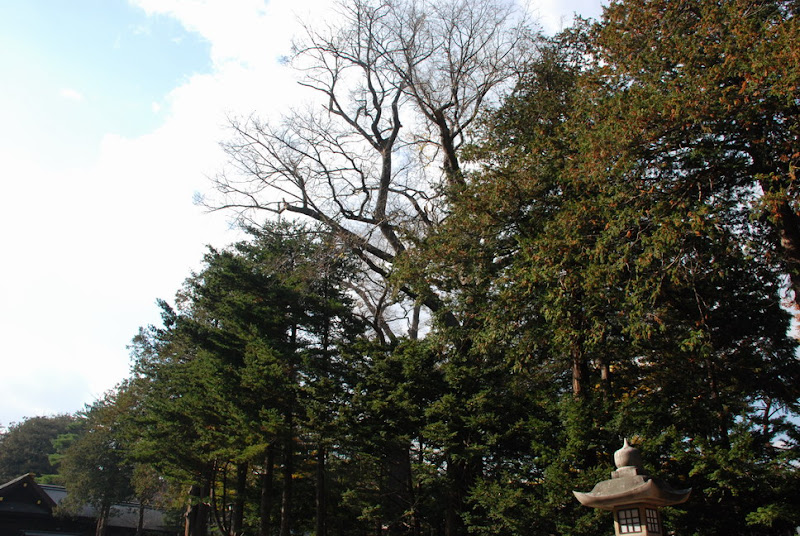 hokkaido_793.jpg
