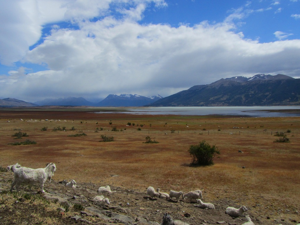 [2012_01_01-Glaciar-Perito-Moreno---A%255B10%255D.jpg]