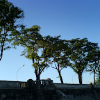 DSC00102.JPG