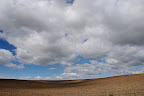 DSC_0992.JPG