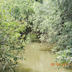 DSCN7256.JPG