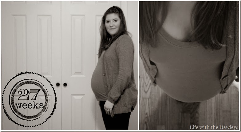 27 week collage