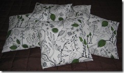 IMG_6376 IMG_6376