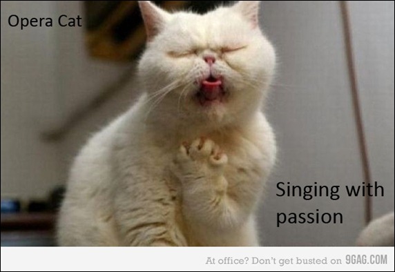 OperaCat