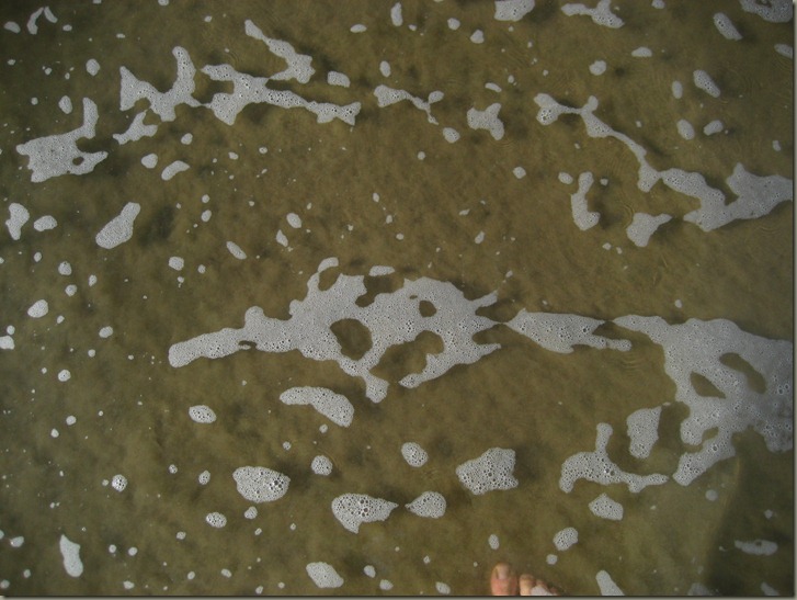 Sea Foam 019 Sea Foam 019