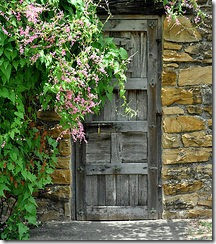 despertar2 despertar2