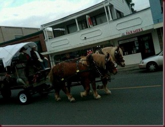 horse and wagon
