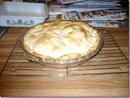 ApplePIe 09-04-11a