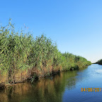 IMG_6228.JPG