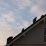 Hausbau - Dach decken