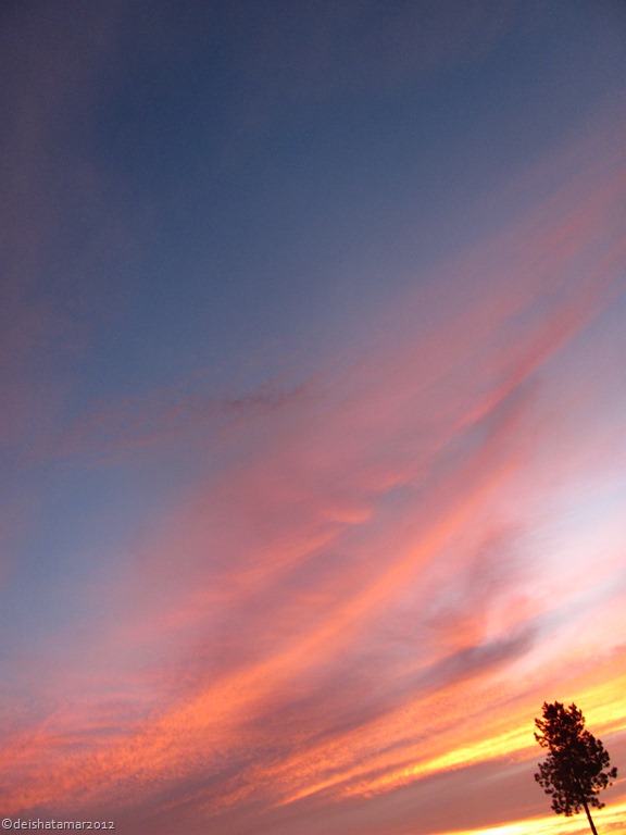 [IMG_5615%255B14%255D.jpg]