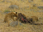 DSCN5588.JPG