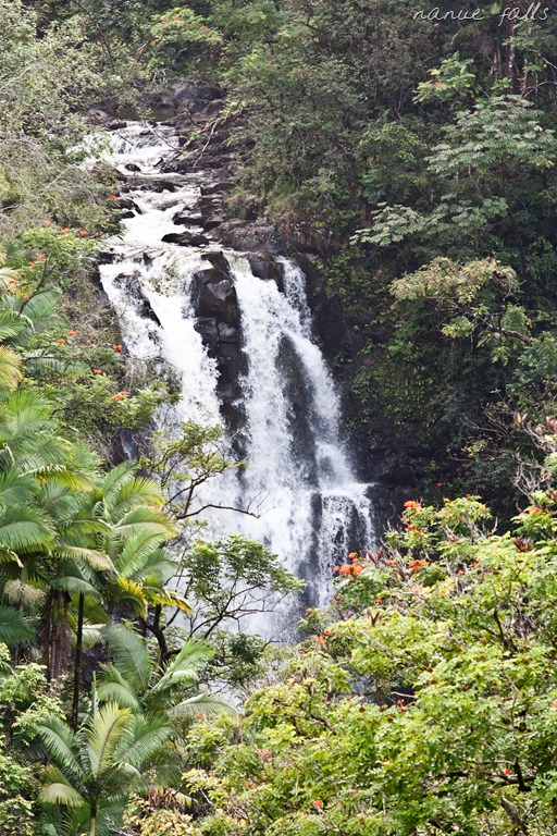 [20121213-IMG_270915.jpg]