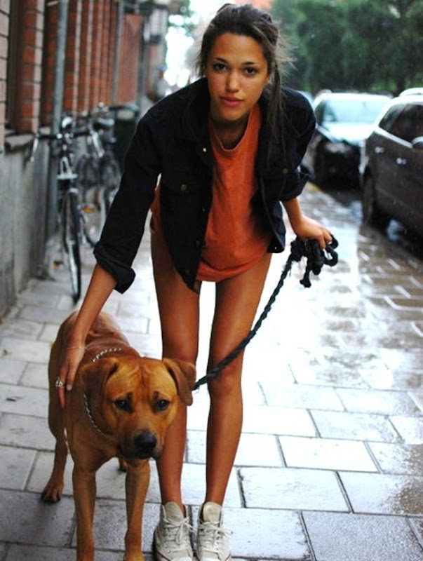 rhodesian