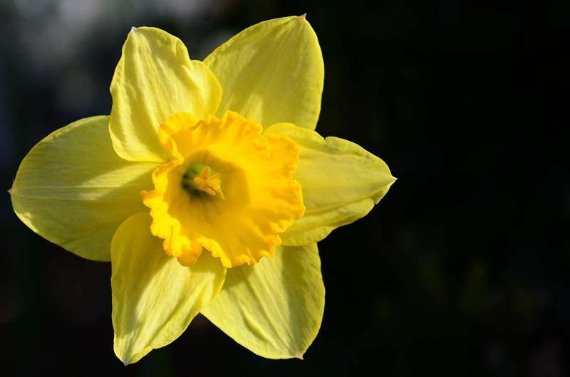 spring walk21 spring walk21