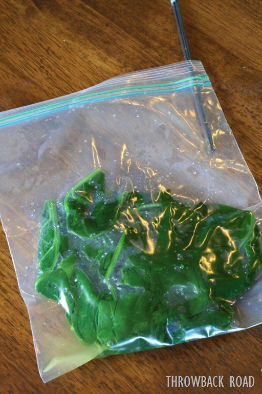 [spinach%2520042%255B5%255D.jpg]