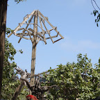 Guacamayas del zool&oacute;gico de Isla Palma