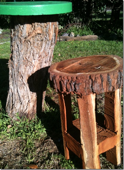 july 2011 016