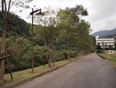 停車場往風景區的道路 停車場往風景區的道路