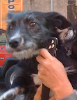 TOYA
OCT-2011