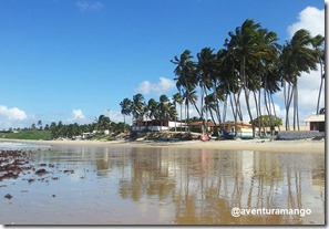 Praia de Maracajaú Praia de Maracajaú