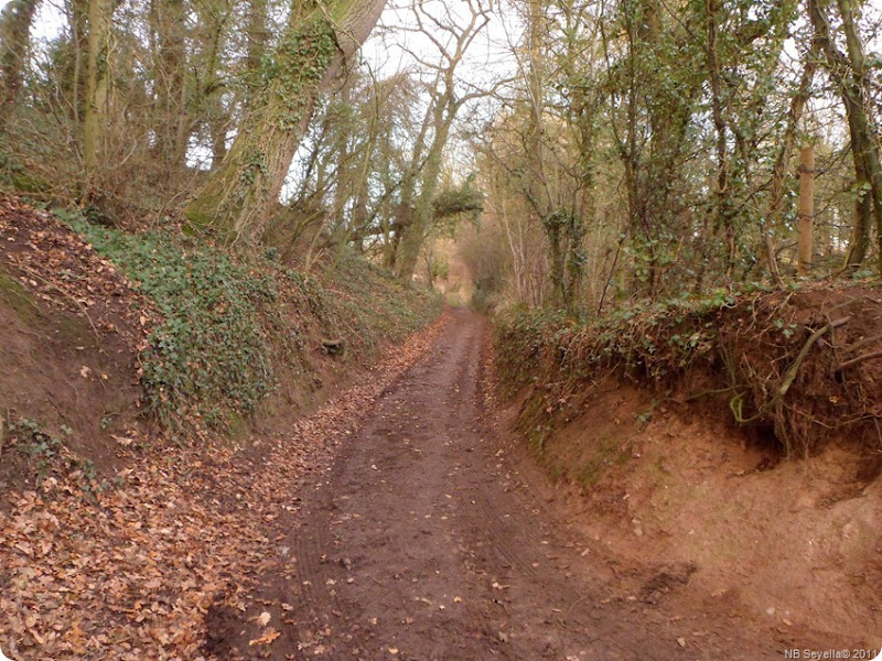 SAM_0002 Quarry Lane