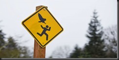 it-s-no-hoot-oregon-city-to-post-signs-about-attacking-owl