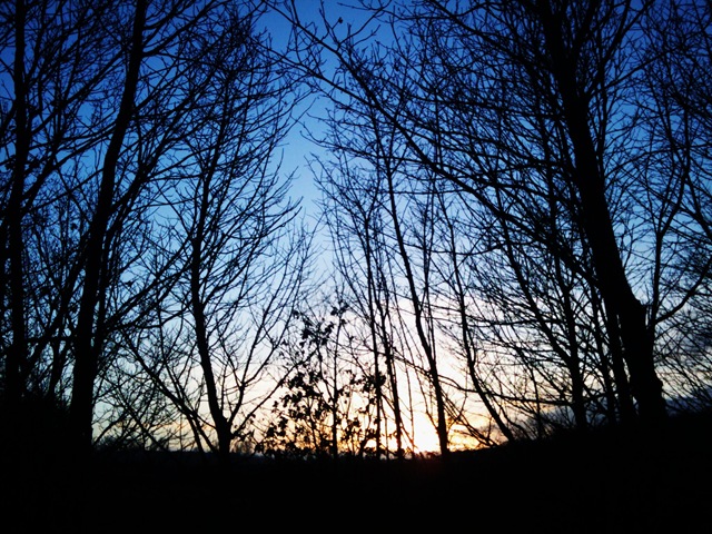 [2012-12-16%252015.03.33%255B4%255D.jpg]