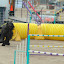 DSC_0048.JPG