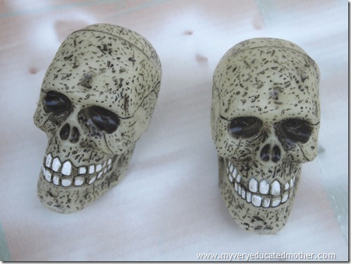 @mvemother Day of the Dead Skulls