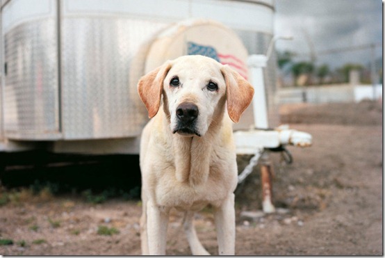 PHOTO:Charlotte Dumas / Barcroft USA PHOTO:Charlotte Dumas / Barcroft USA