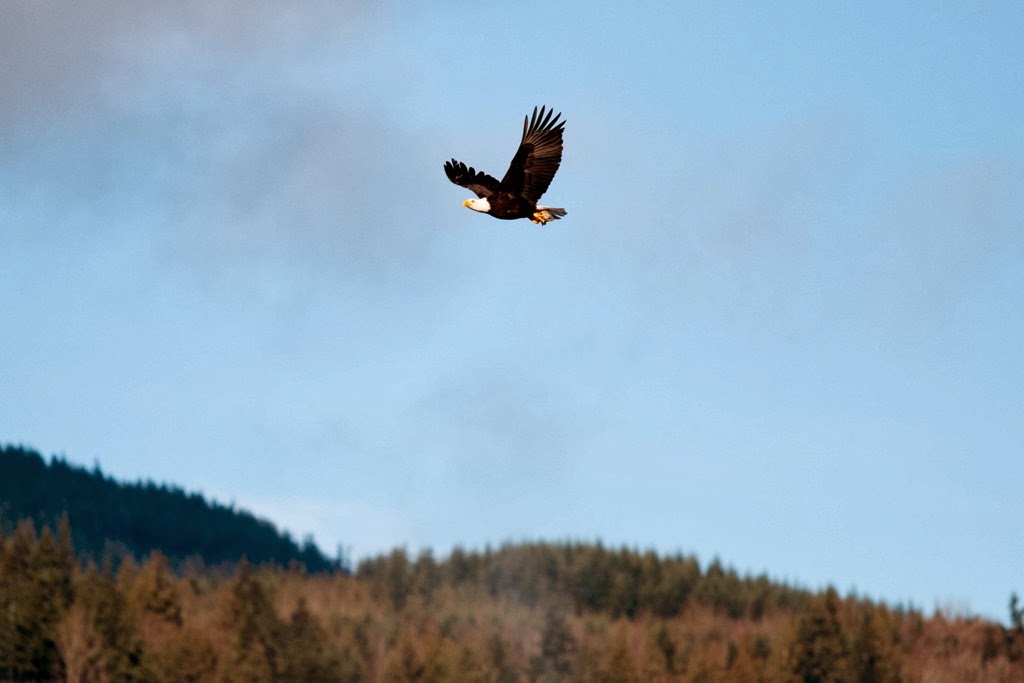 [IMG_3180%255B3%255D.jpg]