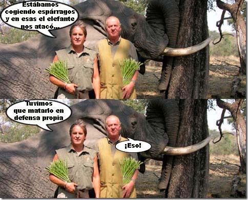reyelefantes