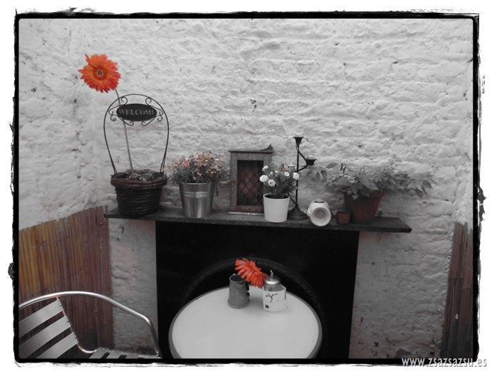 terraza teteria temple bar terraza teteria temple bar