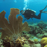 Bonaire 2010